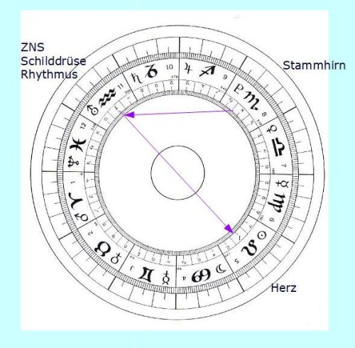 astromedizin roter fingerhut sinusknoten sympathikus astrologisch